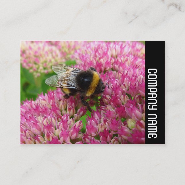 Carte De Visite Bande latérale - Bumble Bee sur Sedum (Devant)