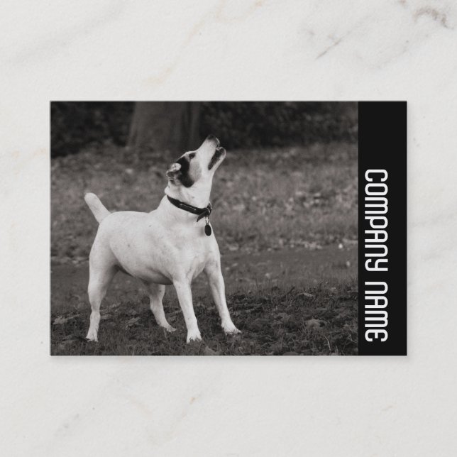 Carte De Visite Bande latérale - Chien (Devant)