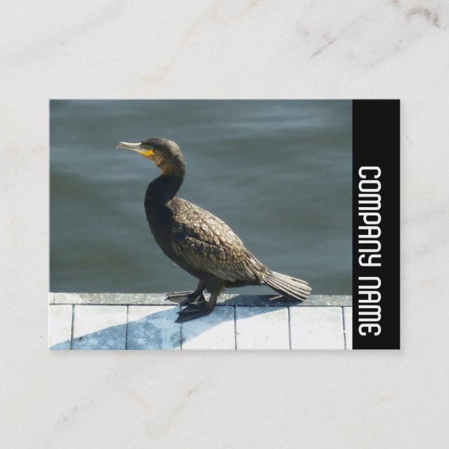 Carte De Visite Bande latérale - Cormorant (Devant)