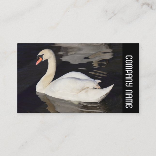 Carte De Visite Bande latérale - Cygne muet (Devant)