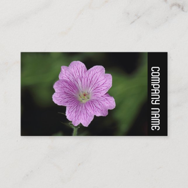 Carte De Visite Bande latérale - Geranium Endressii (Devant)