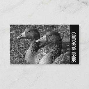 Carte De Visite Bande latérale - Greylag Geese B&W