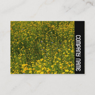 Carte De Visite Bande latérale - Lit de marguerites jaunes