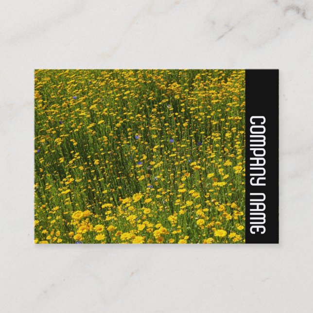 Carte De Visite Bande latérale - Lit de marguerites jaunes (Devant)