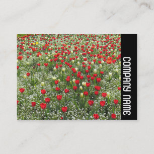 Carte De Visite Bande latérale - Lit de tulipes