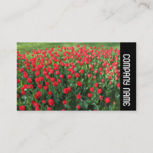 Carte De Visite Bande latérale - Lit de tulipes rouges 01