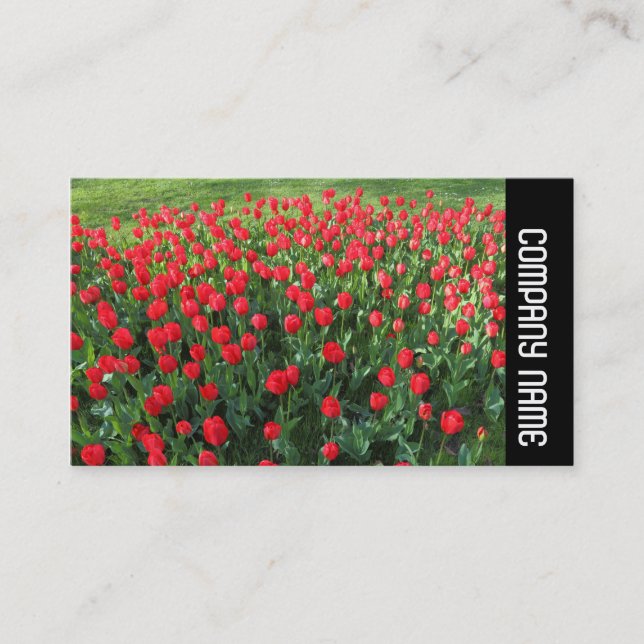 Carte De Visite Bande latérale - Lit de tulipes rouges 01 (Devant)
