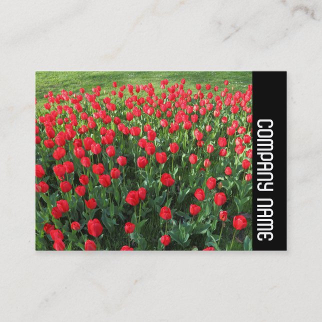 Carte De Visite Bande latérale - Lit de tulipes rouges 01 (Devant)