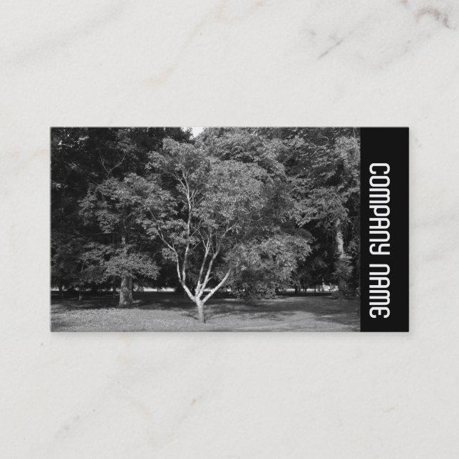 Carte De Visite Bande latérale - Magnolia Tree BW (Devant)