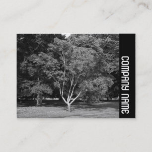 Carte De Visite Bande latérale - Magnolia Tree BW