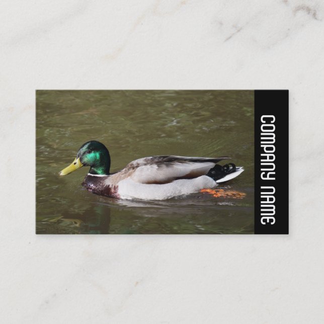 Carte De Visite Bande latérale - Mallard Duck (Devant)