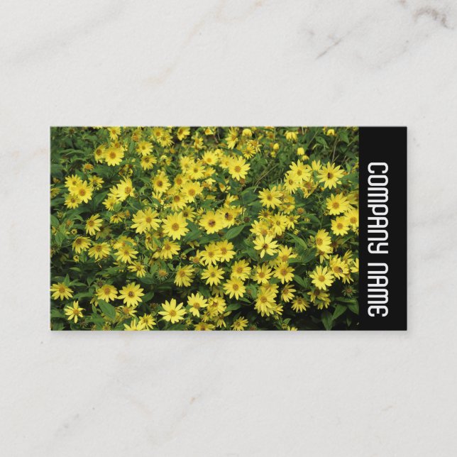 Carte De Visite Bande latérale - Marguerites jaunes (Devant)