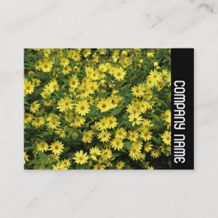 Carte De Visite Bande latérale - Marguerites jaunes
