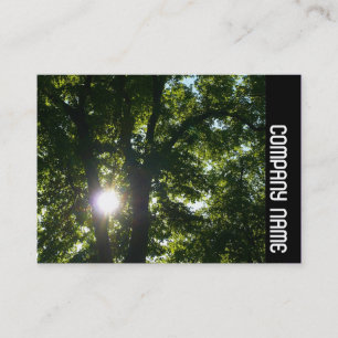 Carte De Visite Bande latérale - Soleil à travers les arbres