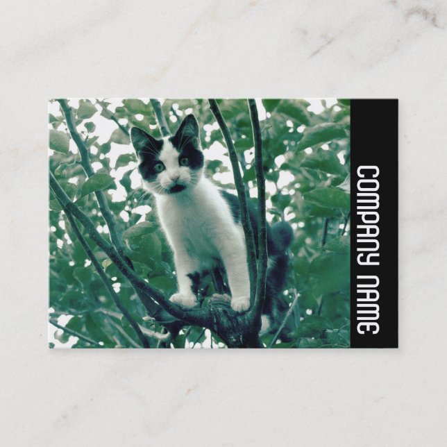 Carte De Visite Bande latérale - Superfluence de la méchanceté (Devant)