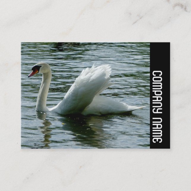 Carte De Visite Bande latérale - Swan (Devant)