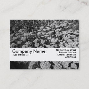 Carte De Visite Bande V2 - sedum "joie de texture d'automne "
