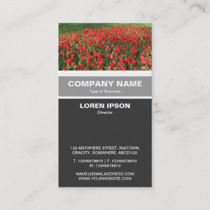 Carte De Visite Banded vertical - Lit de tulipes rouges 02