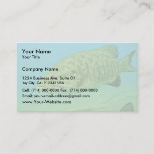 Carte De Visite Basse de Smallmouth