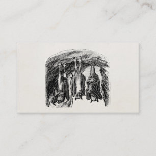 Carte De Visite Batte vintage de Fox de vol de 1800s de batte