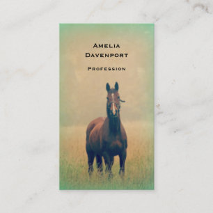 Carte De Visite Bay Horse Standing