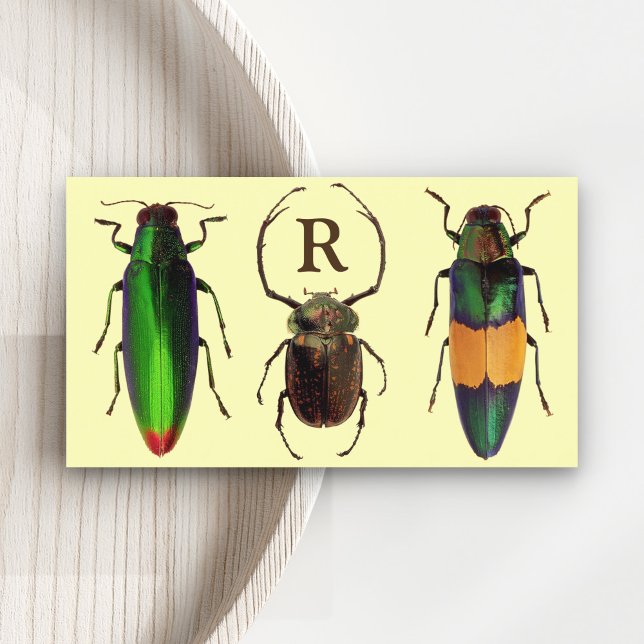 Carte De Visite Beau Bugs | Insecte 1 | Monogramme | Entomologiste (Créateur téléchargé)