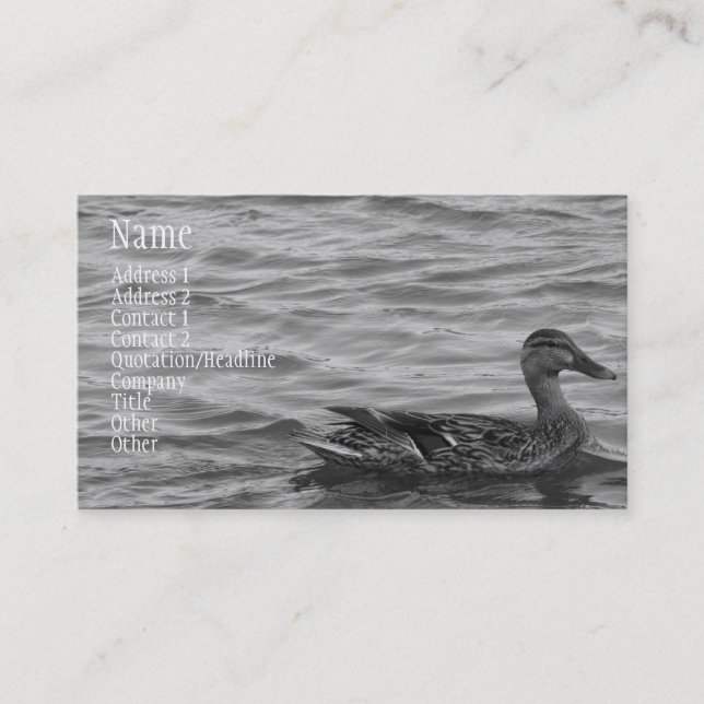 Carte De Visite Beau canard femelle de Mallard (Devant)