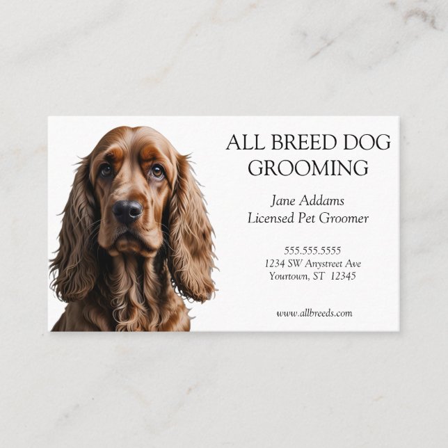Carte De Visite Beau Cocker Spaniel Chien Grooming Animaux Service (Devant)