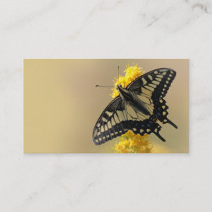 Carte De Visite Beau papillon anis Swallowtail au soleil