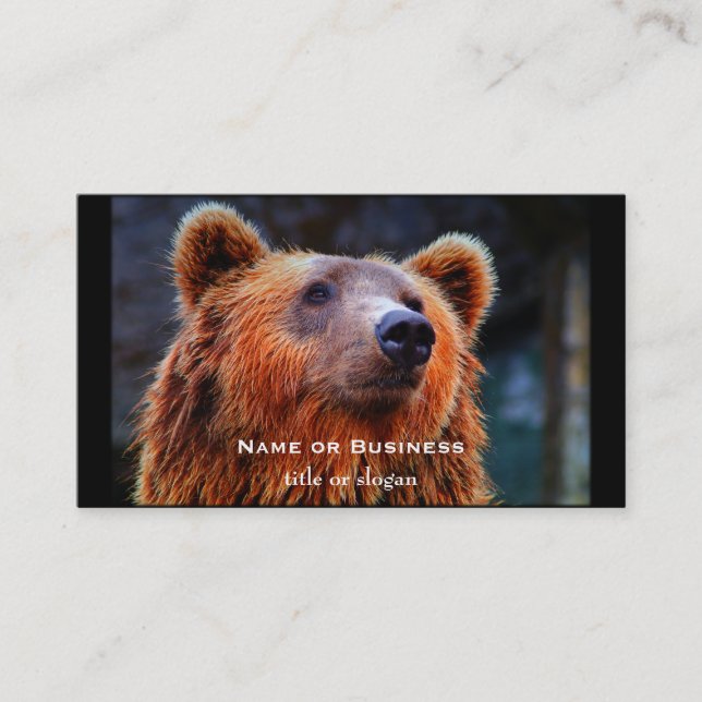 Carte De Visite Beau Portrait d'ours Brown Faune Photo (Devant)