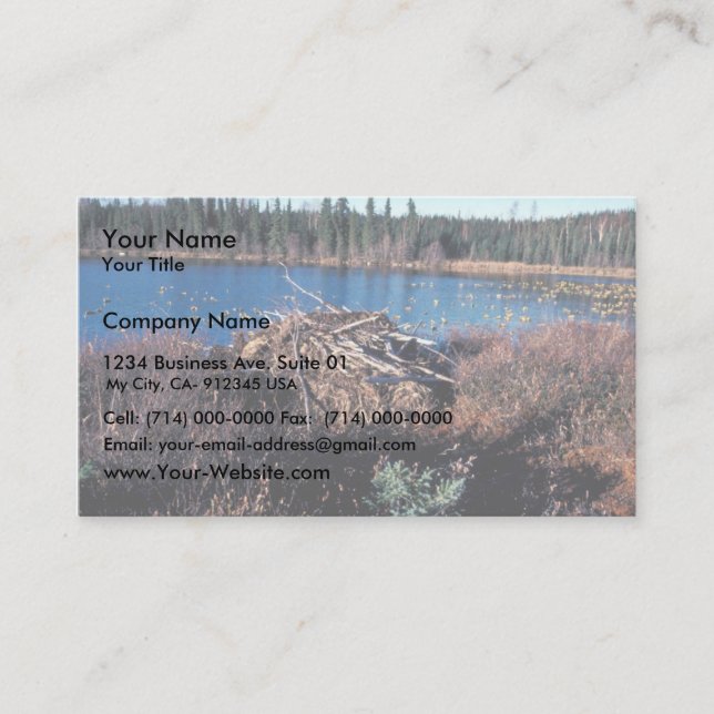 Carte De Visite Beaver Lodge on Martin Lake (Devant)