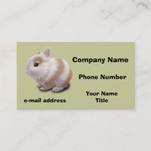Carte De Visite Bébé Lapin