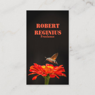 Carte De Visite Bécasseau à colibri