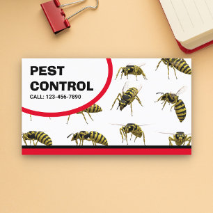 Carte De Visite Bed Bugs Remog Pest Control Service voiture d'affa