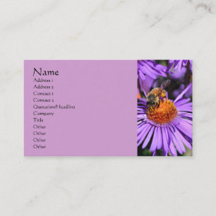 Carte De Visite Bee Aster Flower Nature Photographie