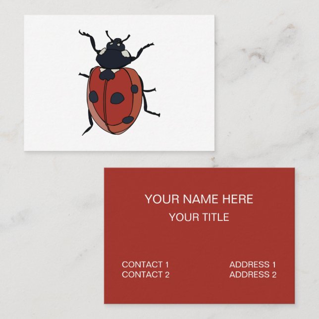 Carte De Visite Beetles Insectes Ladybug Beetles (Devant / Derrière)