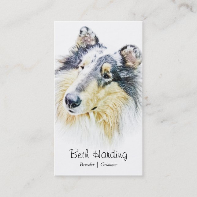 Carte De Visite Bel art approximatif de chien de colley (Devant)