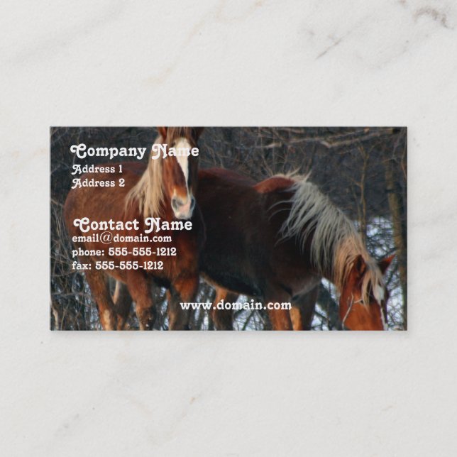 Carte de visite belge de cheval de trait (Devant)