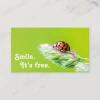 Belle coccinelle avec une citation de motivation p