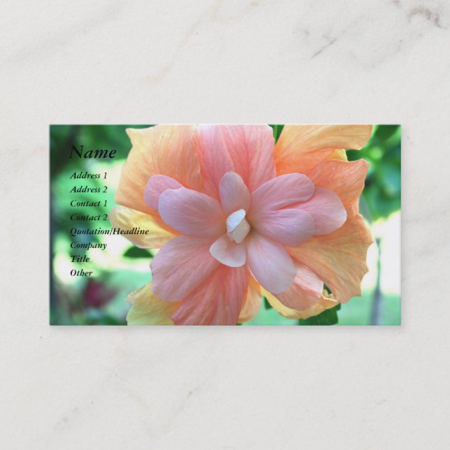 Carte De Visite Belle fleur d'Hibiscus jaune, orange et rose (Devant)