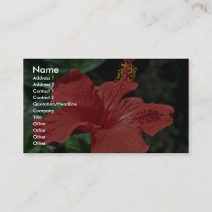 Carte De Visite Belle fleur rouge de ketmie