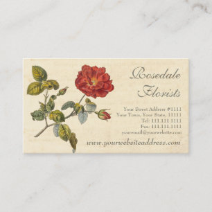Carte De Visite Belle Rouge Vintage Rose Vieux