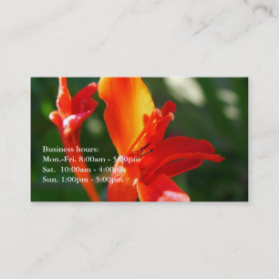 Carte De Visite belles fleurs rouges d'été profil professionnel