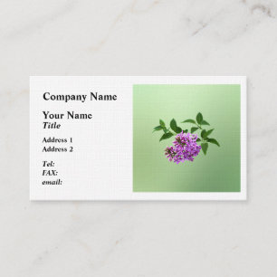 Carte De Visite Belles Lilacs