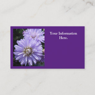 Carte De Visite Berlinette