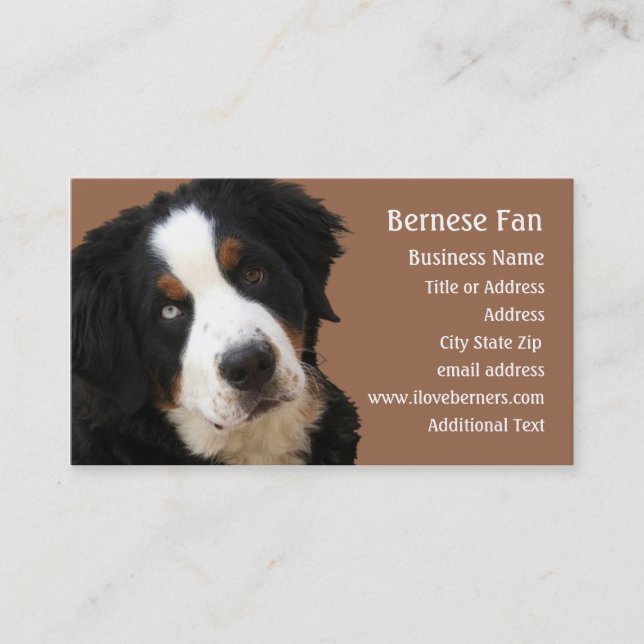 Carte de visite Bernese Mtn Dog - "Lucy" (Devant)