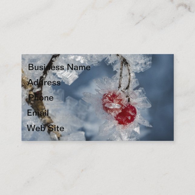 Carte De Visite Berry (Devant)