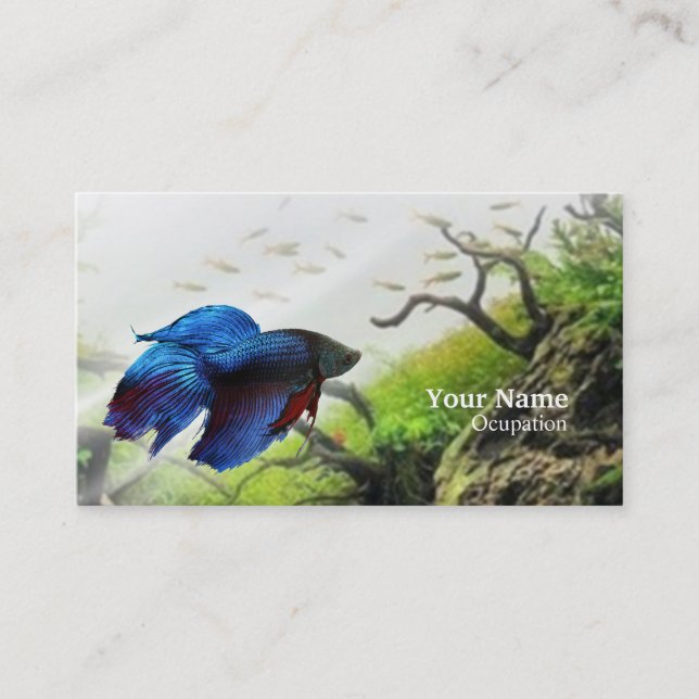 Carte De Visite Betta fish (Devant)