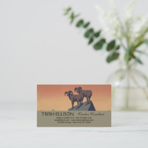Carte De Visite Bighorn Sheep American West Wildlife