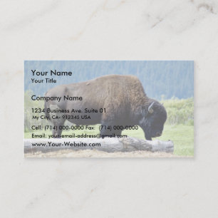 Carte De Visite Bison